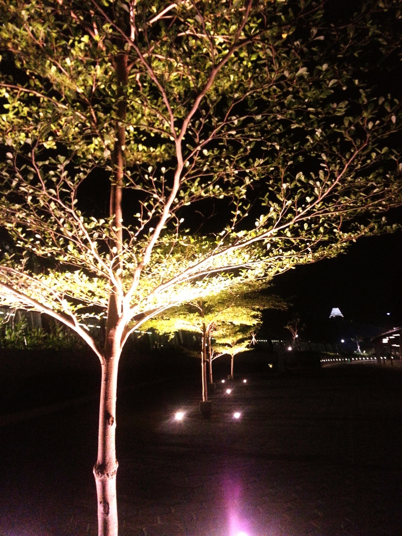  Iluminação Ascendente