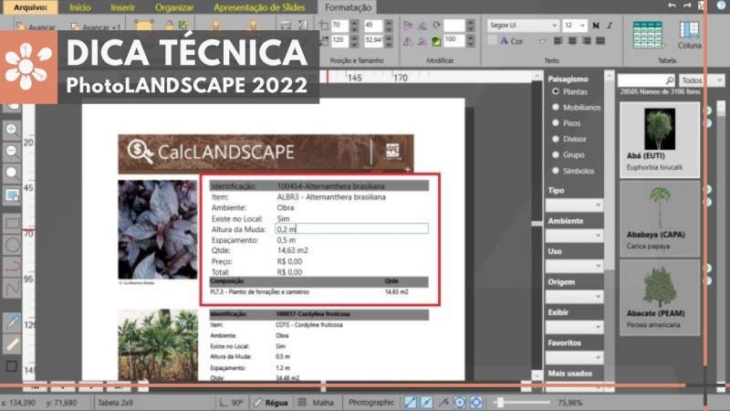 PhotoLANDSCAPE 2022: Personalizando e Editando Relatórios de Orçamento
