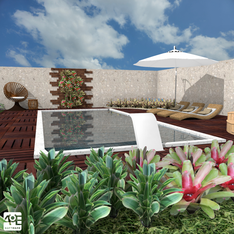 Coleção de Bromélias: Mapas de Neoregelias Cheias de Beleza para Projetos Paisagísticos