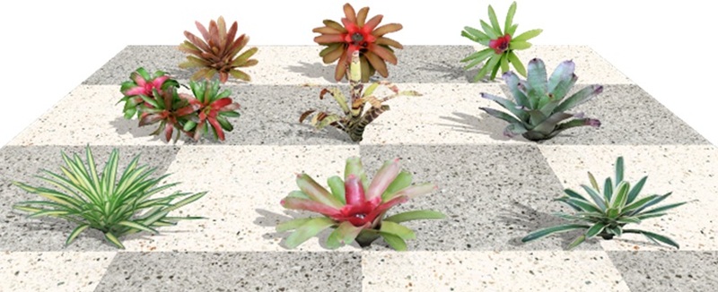Plantas novas no software VisualPLAN