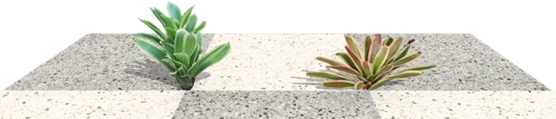 Plantas novas no software VisualPLAN