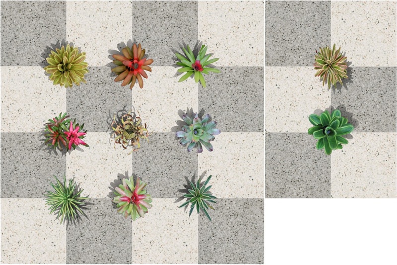 Plantas humanizadas das espécies novas no software VisualPLAN