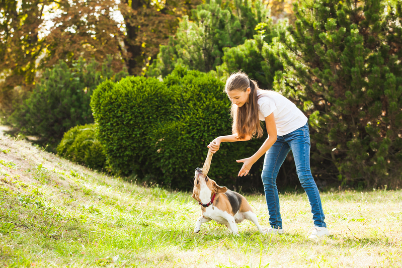 jardins pet-friendly