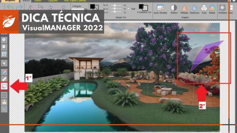 VisualMANAGER 2022: Como remover elementos da imagem usando a IA