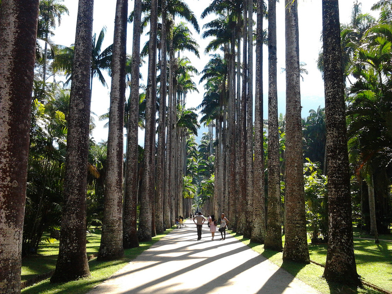 Jardim Botânico — Rio de Janeiro, RJ