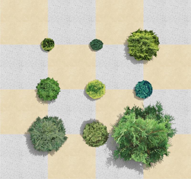 Plantas humanizadas das espécies novas no software VisualPLAN