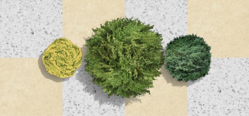 Plantas humanizadas das espécies novas no software VisualPLAN