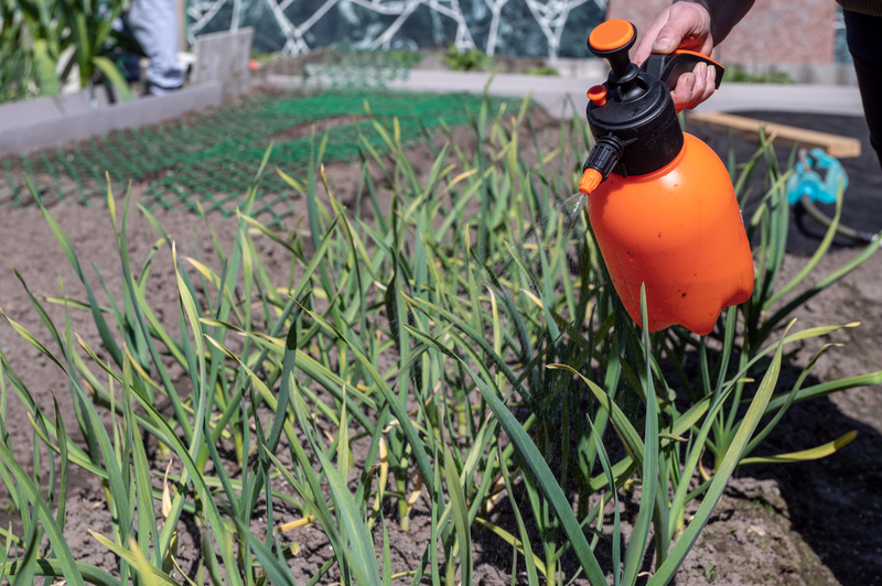 Como prevenir as pragas no paisagismo