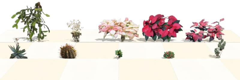 Planta superior de projeto com espécies novas no software VisualPLAN