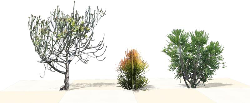 Planta superior de projeto com espécies novas no software VisualPLAN