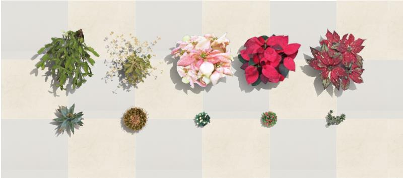 Plantas humanizadas das espécies novas no software VisualPLAN