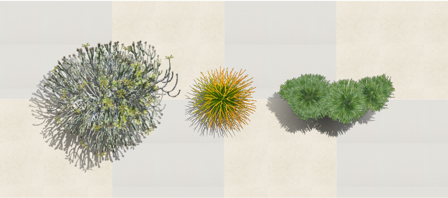 Plantas humanizadas das espécies novas no software VisualPLAN