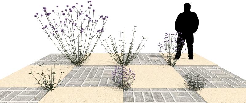 Imagem renderizada no VisualPLAN.