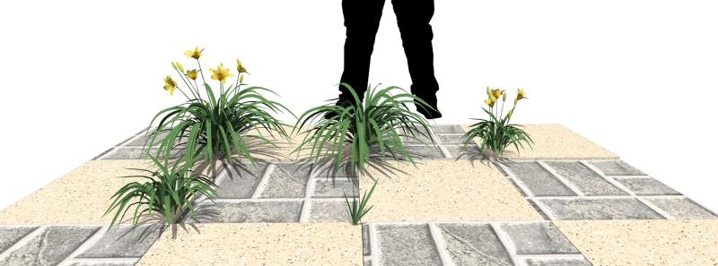 Imagem renderizada no VisualPLAN.