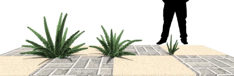 Imagem renderizada no VisualPLAN.