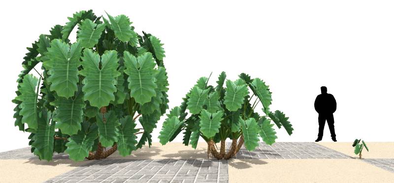 Imagem renderizada no VisualPLAN.