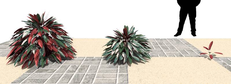 Imagem renderizada no VisualPLAN.