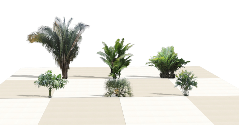 Plantas humanizadas das novas palmeiras no software VisualPLAN