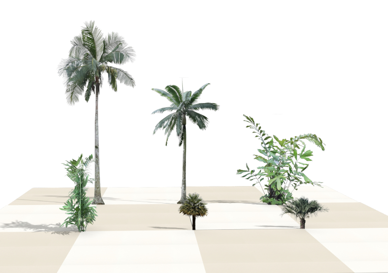 Plantas humanizadas das novas palmeiras no software VisualPLAN