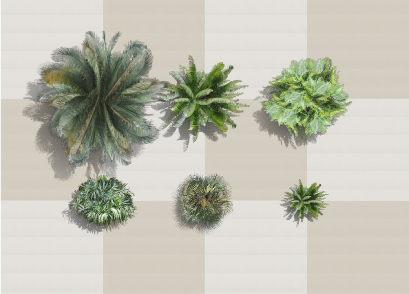 Planta superior com as Palmeiras novas no software VisualPLAN