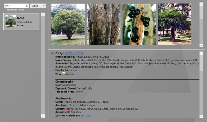 Insetos aliados: os guardiões naturais do seu jardim