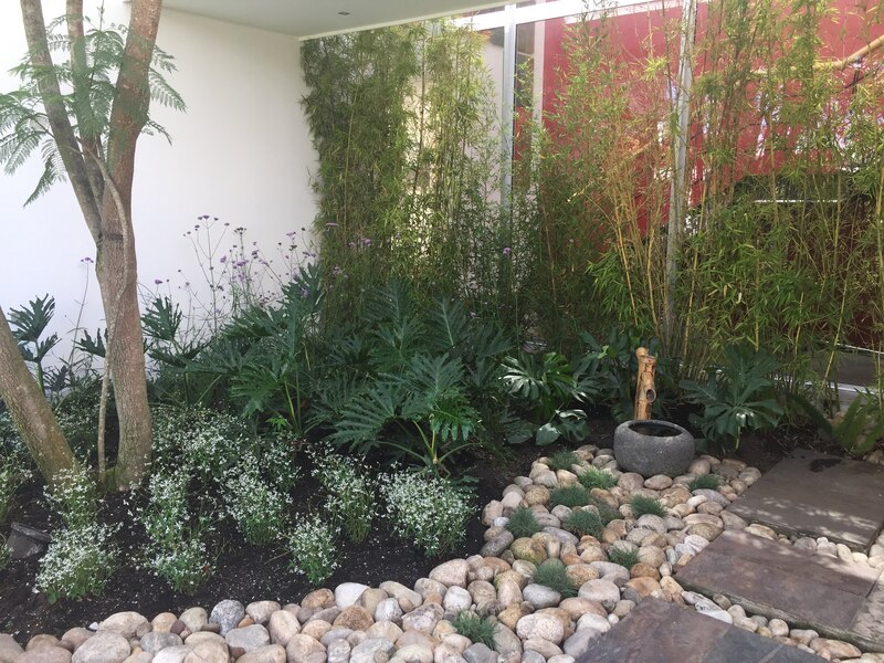 Projeto de Paisagismo realizado por Claudia Monsalve