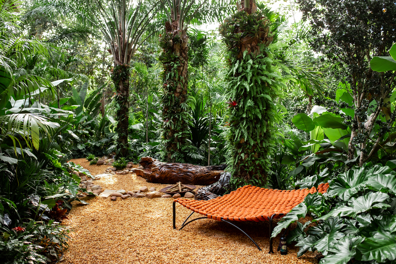 Projeto de Paisagismo pela empresa Viva a Vida Serviços Ambientais