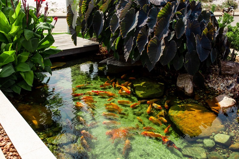 Projeto de lago pela empresa Viva a Vida Serviços Ambientais