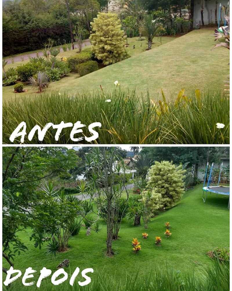  Paisagismo realizado por Guilherme Silva Vieira