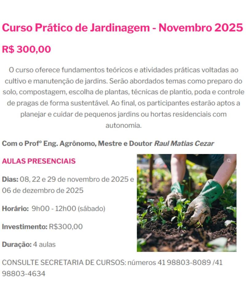 Mão na Terra e Conhecimento: Curso Prático de Jardinagem em Curitiba
