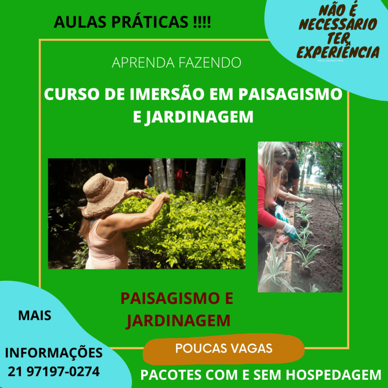 Mergulho Profundo no Verde: Curso de Imersão em Paisagismo e Jardinagem