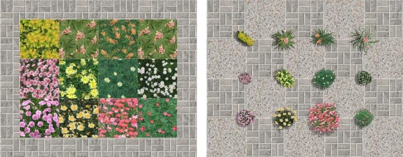 Vista superior das espécies no VisualPLAN.