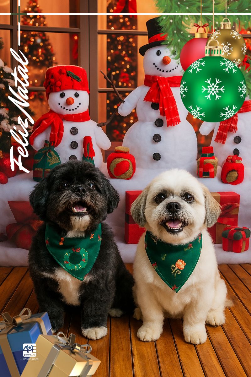 Neste Natal, celebramos a confiança que ilumina nosso caminho