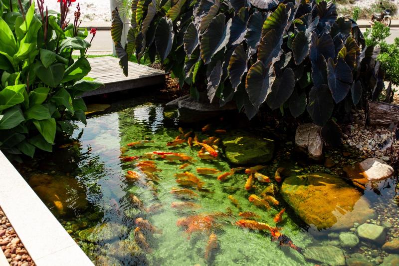 Paisagens de Luxo: Onde Design, Natureza e Exclusividade se Encontram