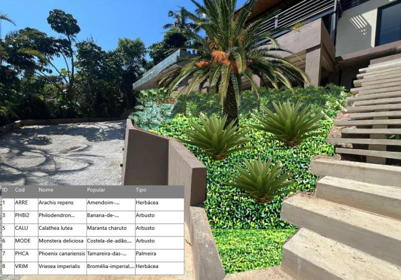 Imagem cedida pelo paisagista Carlos Renzo