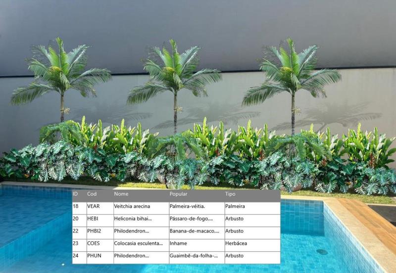 Imagem cedida pelo paisagista Carlos Renzo