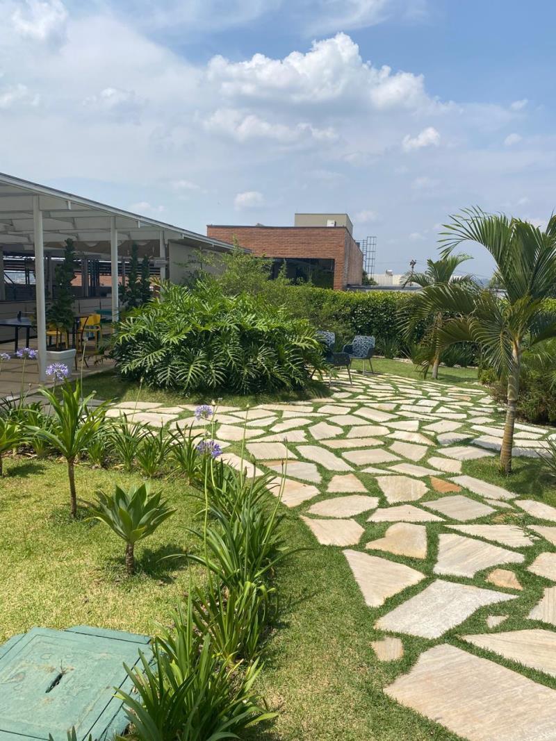 Imagem cedida pelo paisagista Carlos Renzo Imagem cedida pelo paisagista Carlos Renzo