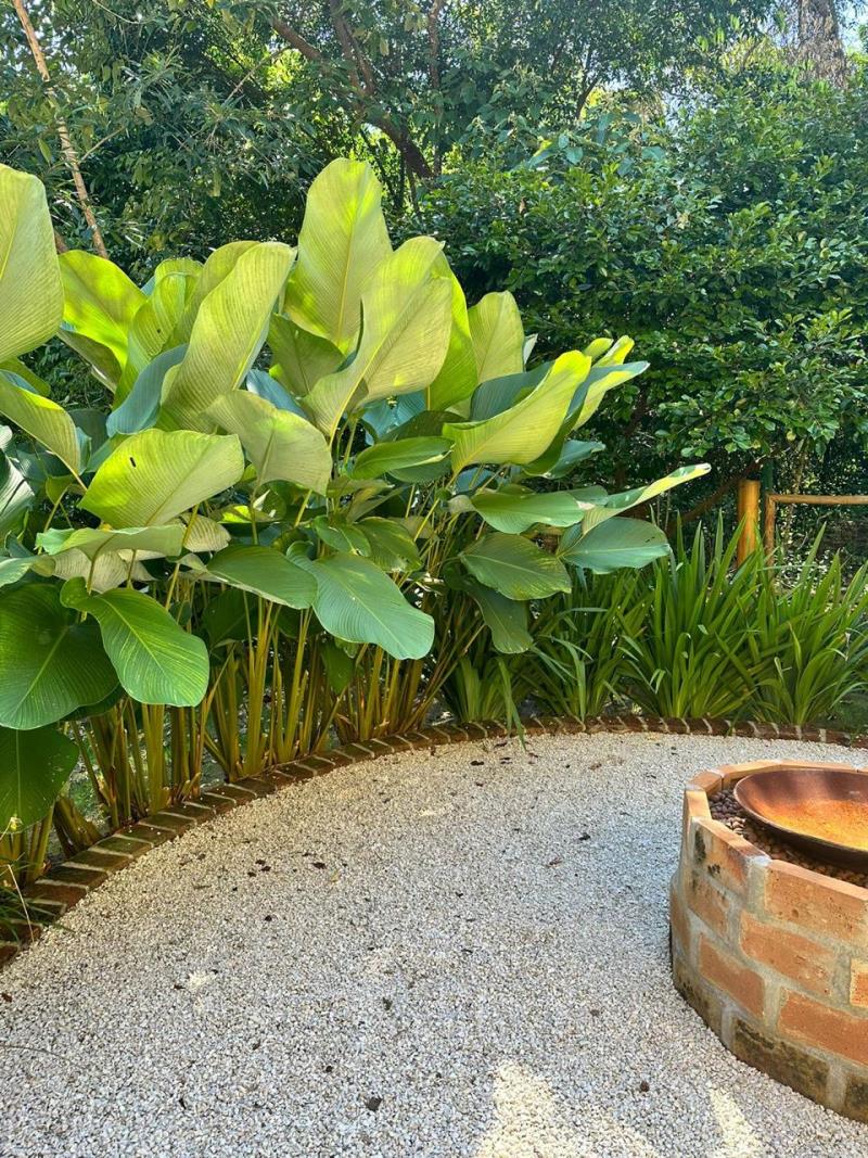 Imagem cedida pelo paisagista Carlos Renzo Imagem cedida pelo paisagista Carlos Renzo