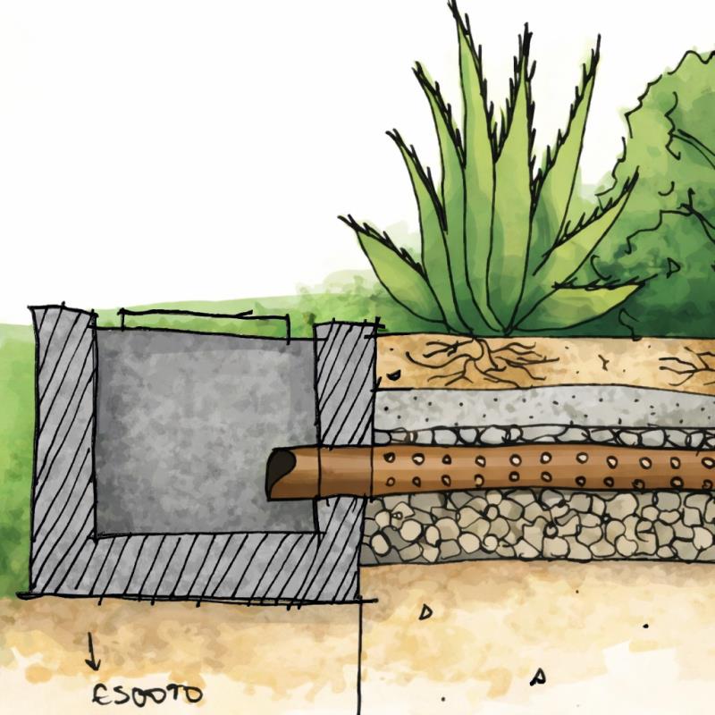 Jardins de Chuva: Técnica, Paisagismo e Sustentabilidade Integrados