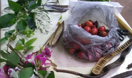 Curso da Prefeitura de São Paulo aborda biologia e cultura das sementes na UMAPAZ