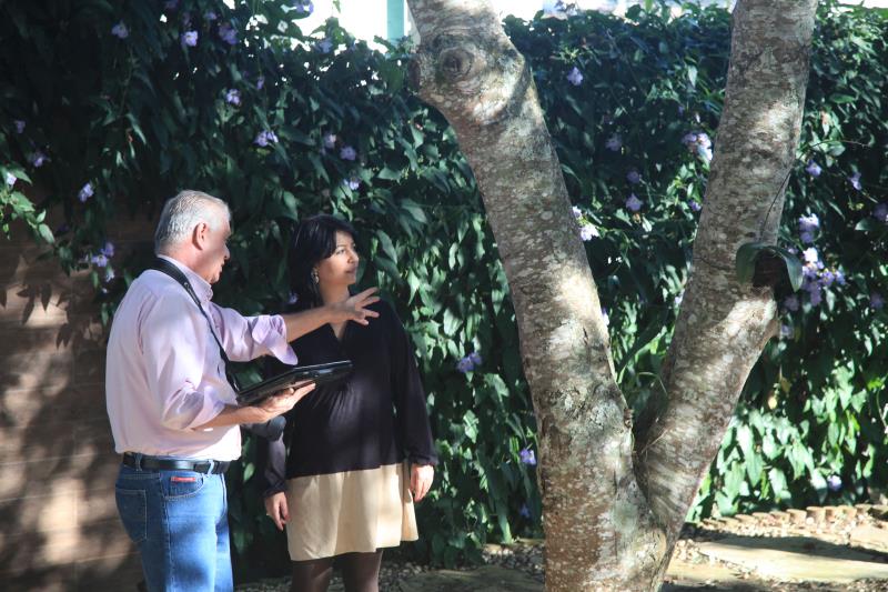 Erros de projeto que poderiam ser evitados com conhecimento botânico