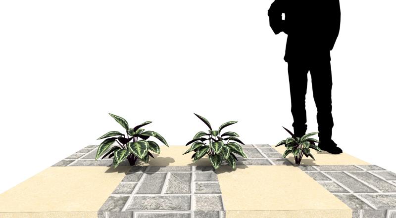 CAVE
