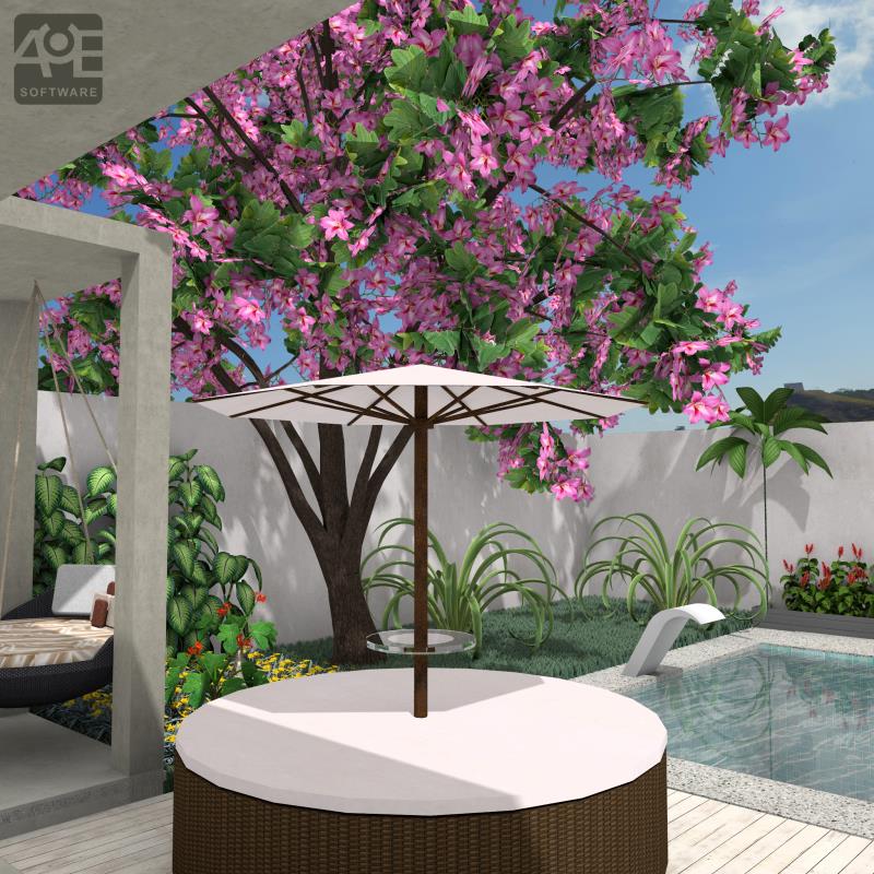 Nova Coleção de Plantas 3D: Mais Realismo, Variedade e Qualidade para Seus Projetos