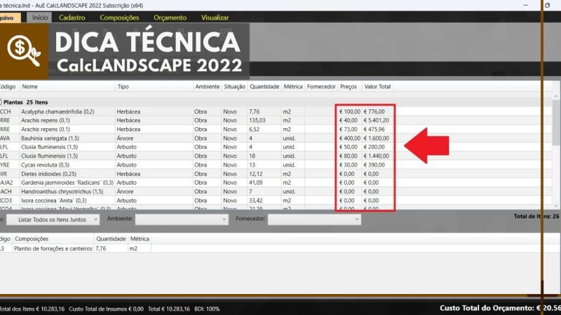 CalcLANDSCAPE 2022: Alterando a unidade monetária dos orçamentos