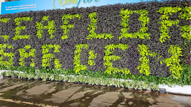 Flora brasileira, cidades-esponja e inteligência artificial marcam o Congresso Paisagismo Para Todos