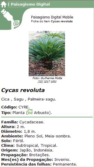 Ficha de dados do item Cyca Revoluta