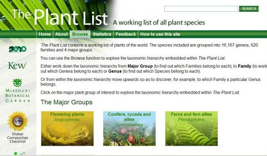 Botânicos fazem lista com 1,25 milhão de nomes de plantas