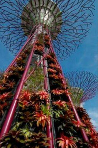 Cingapura recebe 18 árvores solares para fazer parte do "Gardens by the Bay"