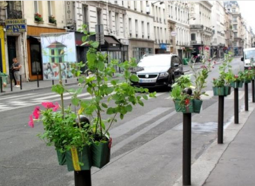 Plantas são utilizadas como símbolo de manifestação em Paris
