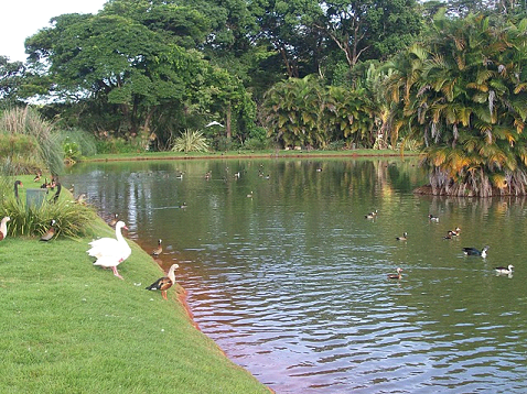 Lago artificial em Brasília